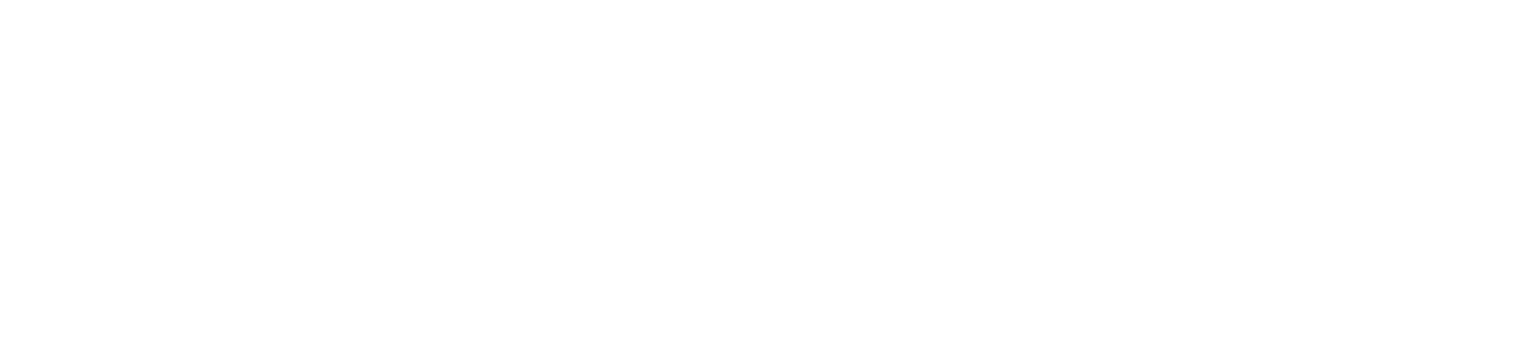 Fuerza Strategy Group